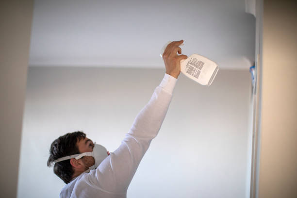 Best Affordable Mold Removal  in Meadow Vista, CA