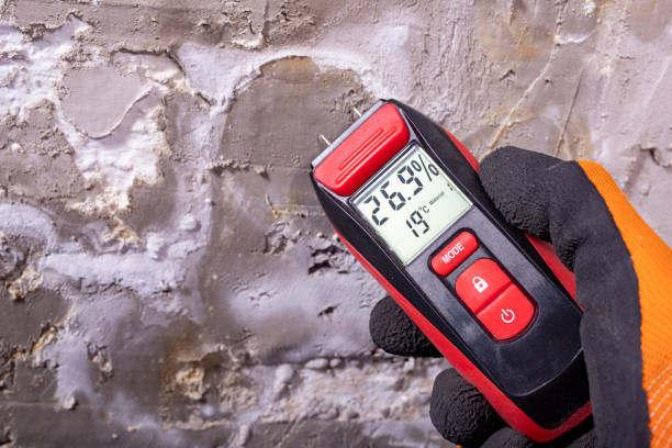 Office Mold Removal Services in Meadow Vista, CA
