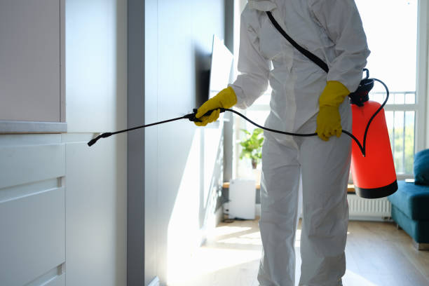 Best Mold Cleaning Services  in Meadow Vista, CA
