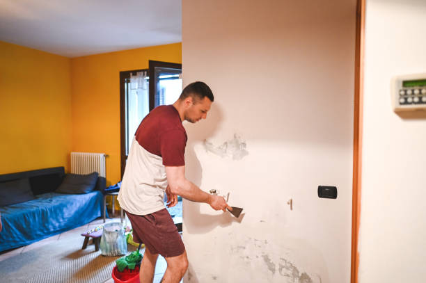 Best Residential Mold Removal  in Meadow Vista, CA