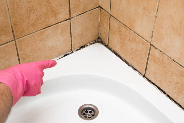 Best Local Mold Removal Service  in Meadow Vista, CA